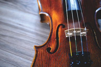 Violin on gray background